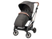 Immagine di Peg Perego duo Vivace 500